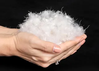 人物手捧绒毛特写图片