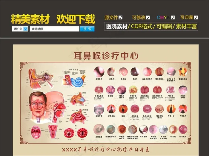 耳鼻喉解剖图图片(210X297)cdr矢量模版下载