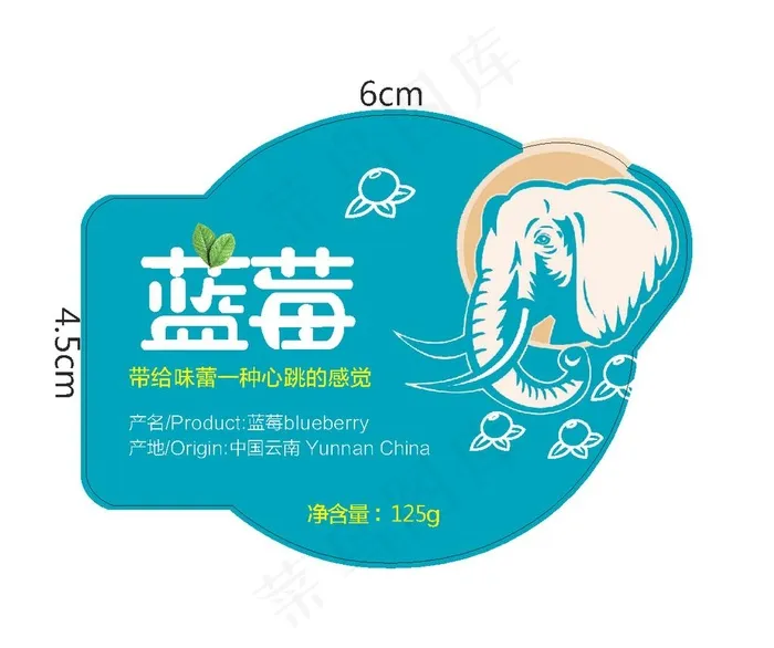 蓝莓图片ai矢量模版下载