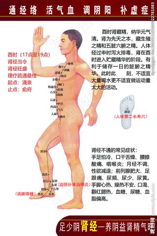 人体经络穴位心经图片