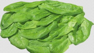 菠菜图片