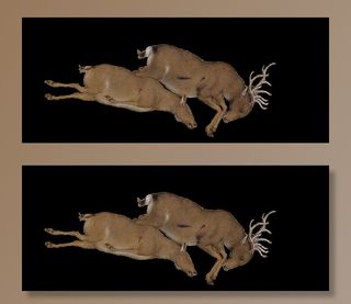 古代被打猎物图片