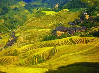 龙胜梯田图片