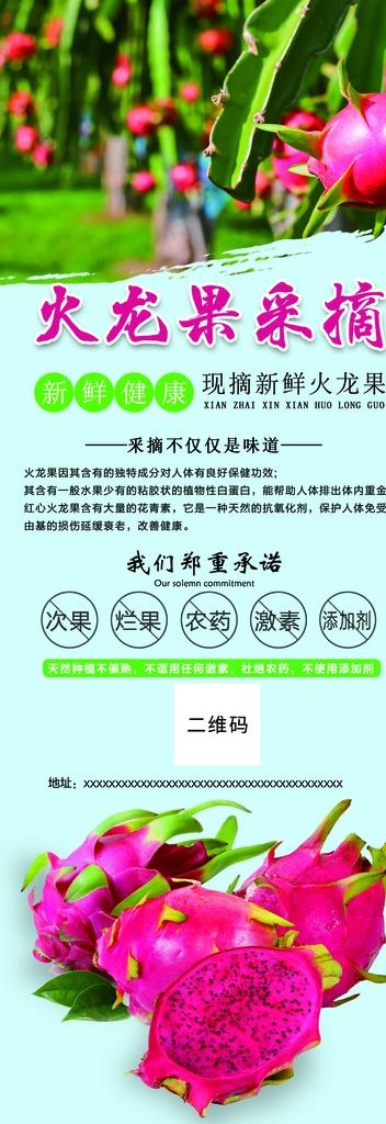 火龙果图片(1701X4535(DPI:72))psd模版下载