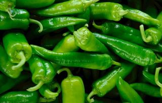 青椒图片