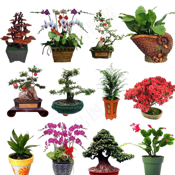 花瓶素材 花盆素材图片