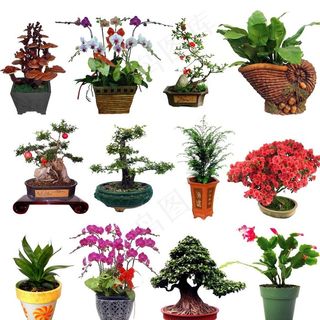 花瓶素材 花盆素材图片 花瓶素材 花盆素材图片