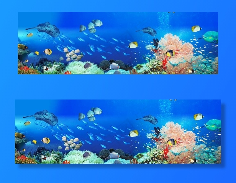 海底世界背景图片(3000X1025(DPI:300))psd模版下载