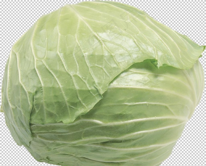 包菜图片
