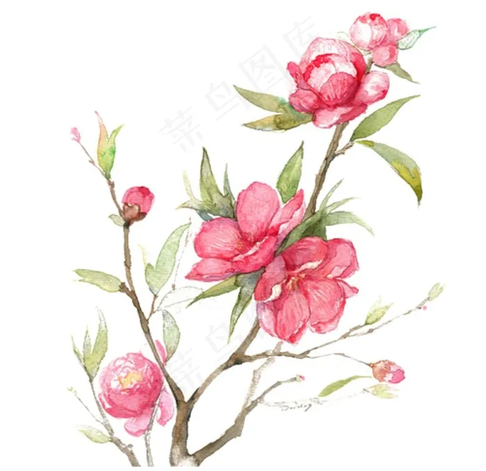 桃花图片psd模版下载