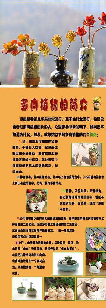 多肉介绍X展架图片(2362X6299(DPI:100))psd模版下载