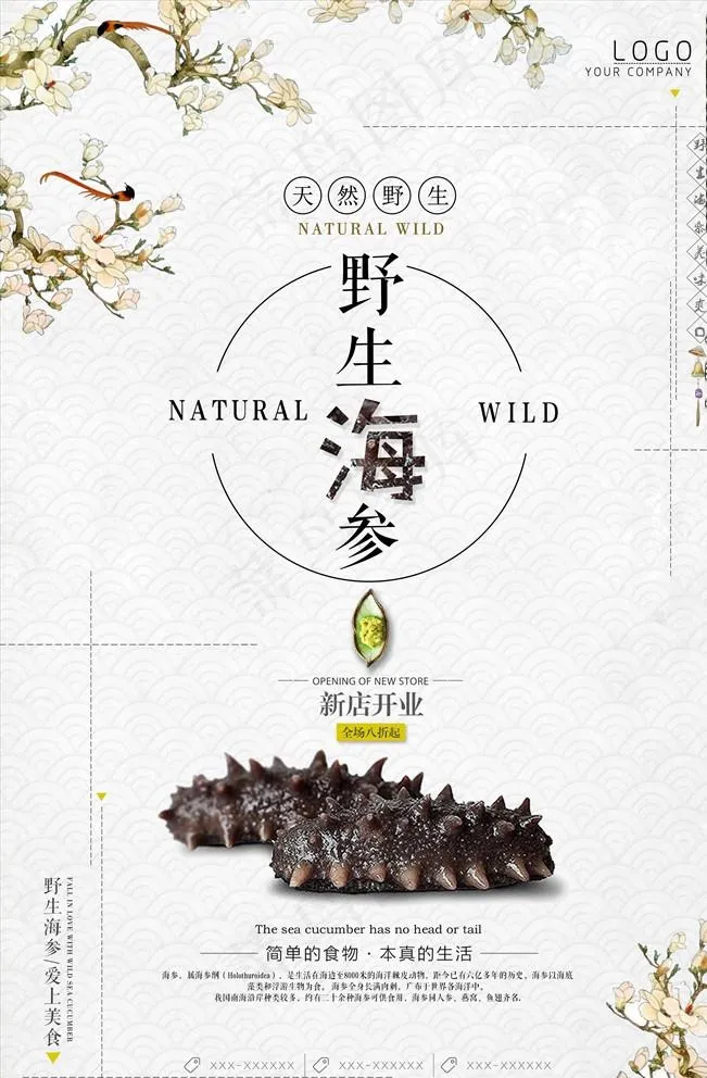 野生海参海报图片(3543X5315(DPI:150))psd模版下载