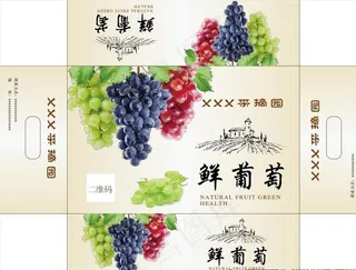 葡萄天地盖图片