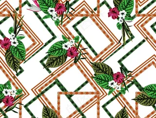 框框热带树叶图片