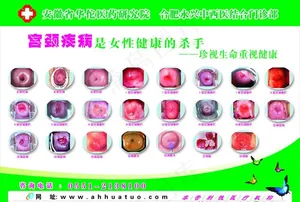 女性健康图片