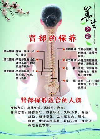 养生穴位图图片