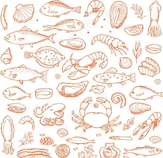 食物背景素材图片