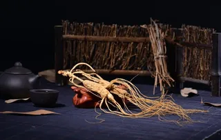 人参药材中药养生背景素材图片