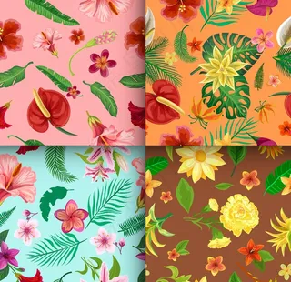 植物插画合集图片