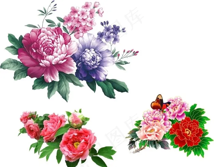牡丹花图片cdr矢量模版下载