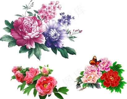 牡丹花图片 牡丹花图片