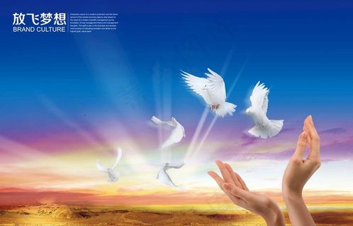 放飞梦想 双手 和平鸽图片