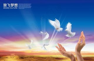 放飞梦想 双手 和平鸽图片