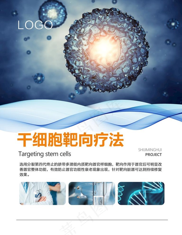 干细胞海报图片(4724X6299(DPI:200))psd模版下载