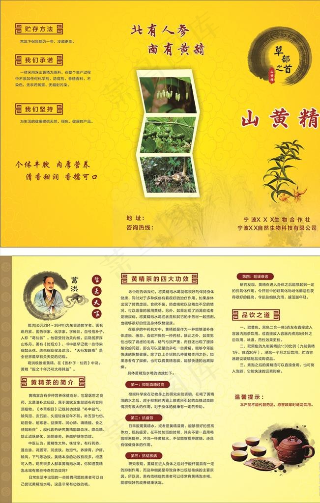 山黄精宣传单图片(297X210)cdr矢量模版下载