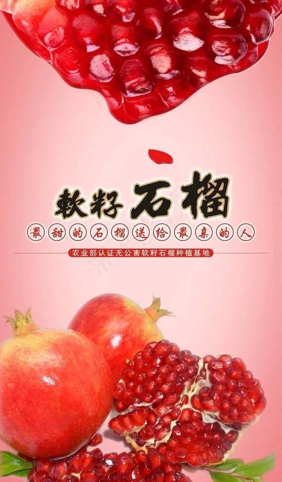软籽石榴海报图片(210X297)cdr矢量模版下载