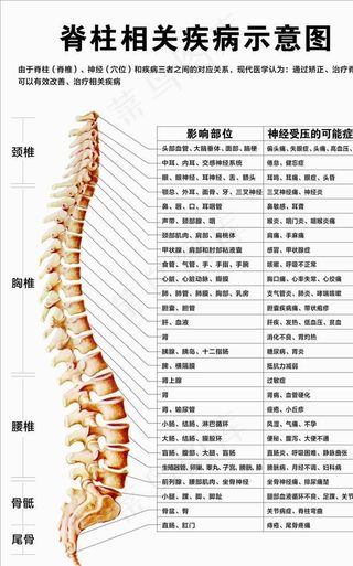 脊柱相关疾病示意图图片