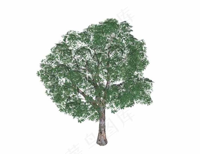 树模型图片