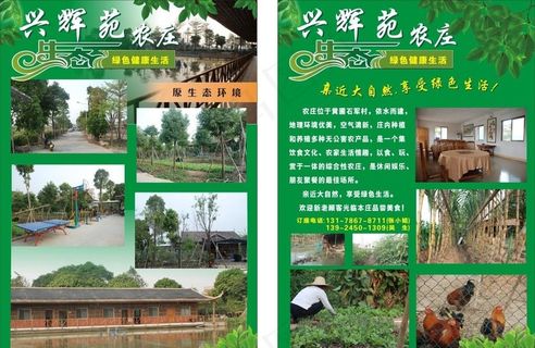 农庄宣传单图片