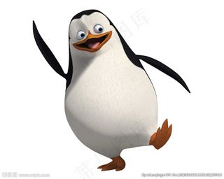 企鹅 马达加斯加图片