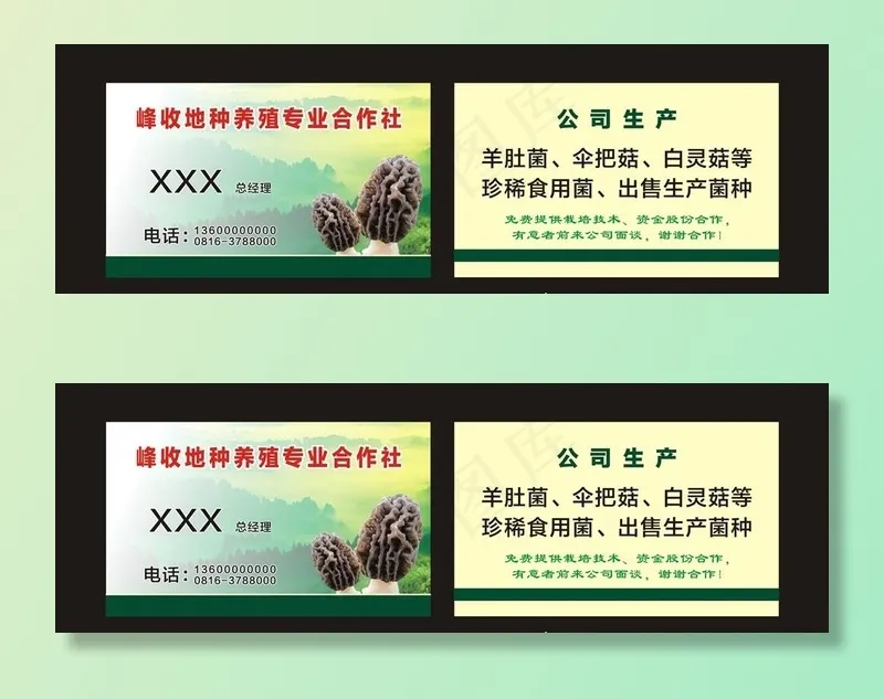 公司名片图片cdr矢量模版下载