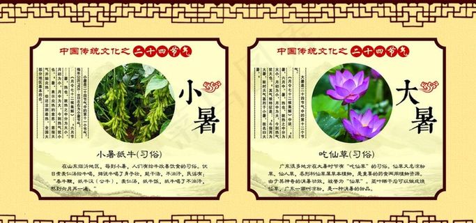 小暑和大暑图片