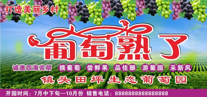葡萄熟了广告素材图片(210X297)cdr矢量模版下载
