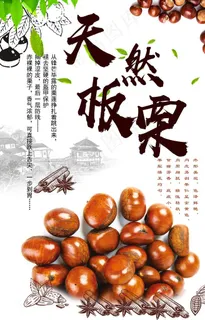 板栗 炒板栗 天然板粟 糖炒栗图片