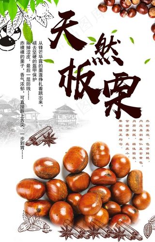 板栗 炒板栗 天然板粟 糖炒栗图片