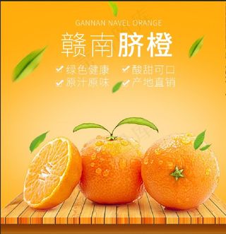 脐橙主图图片