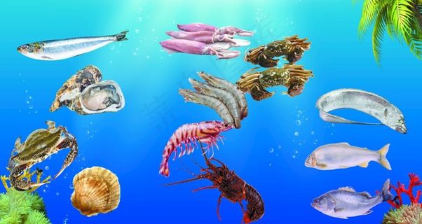 海鲜 吃海鲜 海鲜海报 海鲜宣图片