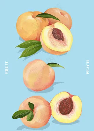 桃子手绘插画图片