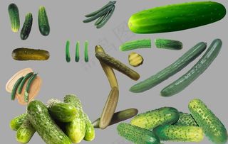 黄瓜图片
