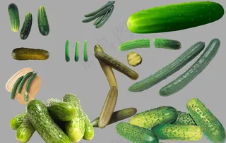 黄瓜图片