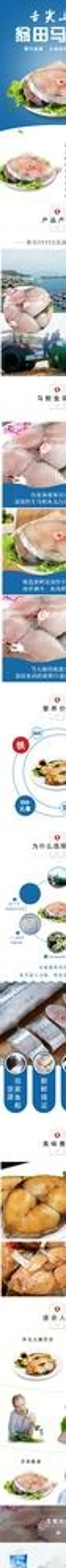 马鲛鱼 南海图片