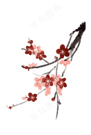 国画梅花图片