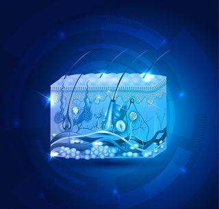 蓝色背景 皮肤组织图片