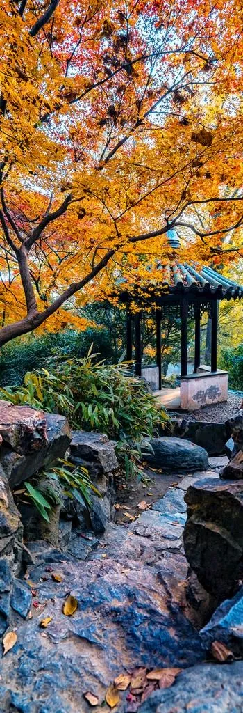风景画图片