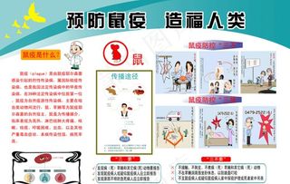 预防鼠疫造福人类图片