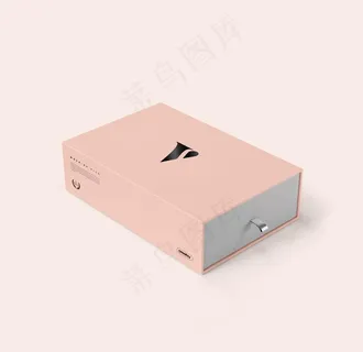 高端礼品购物袋VI包装盒效果图图片